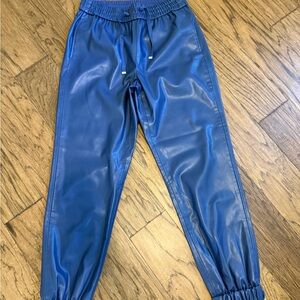 Dalton Vegan Leather Pant Navy Cami/S